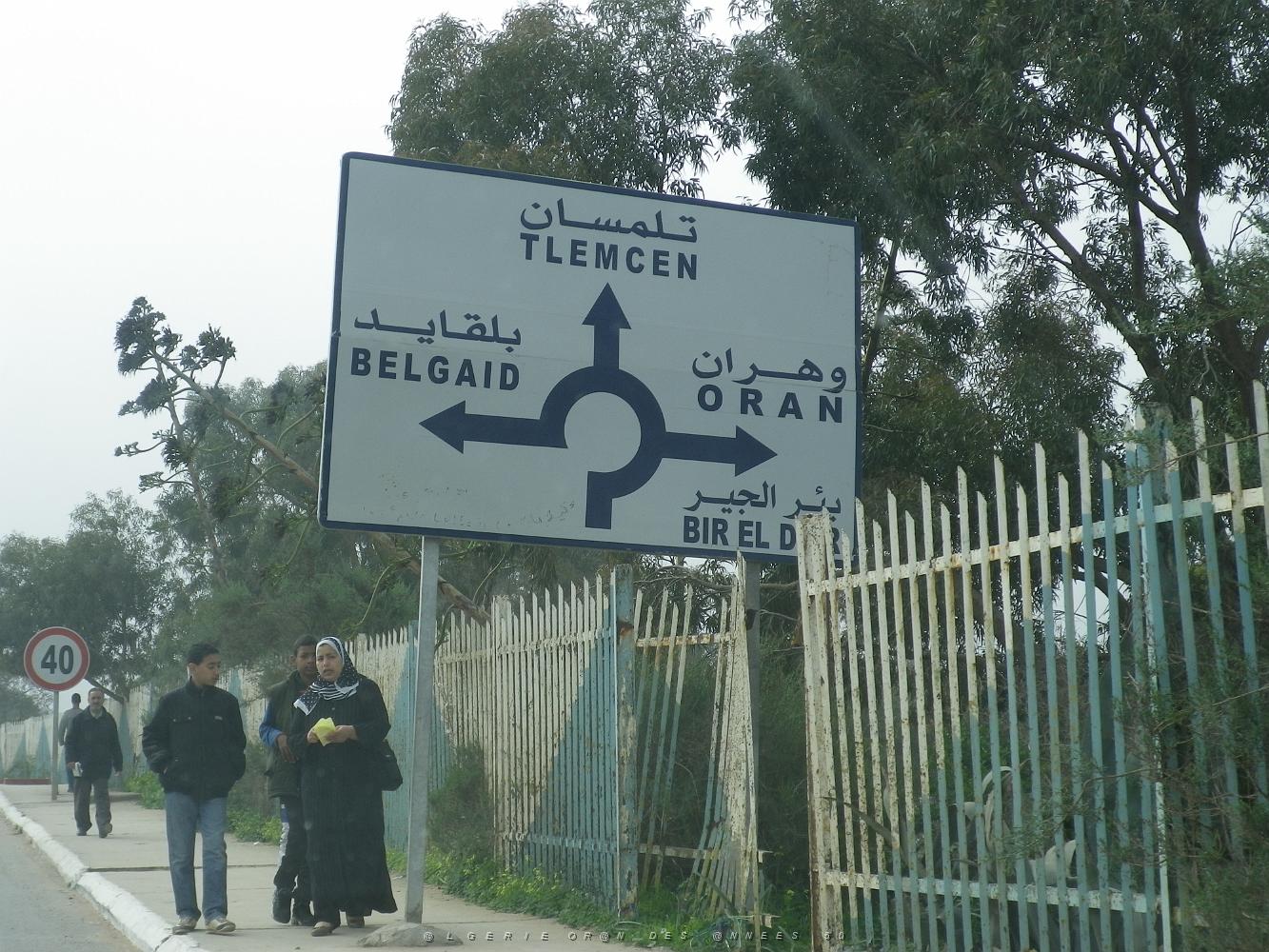 1975 retour vers ORAN .JPG